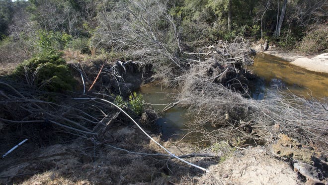 Section of Carpenter Creek clogged by sand and debris